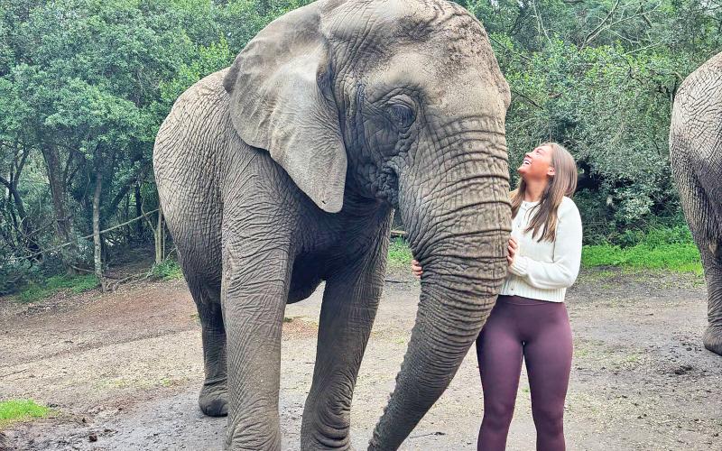 Morgan Humphrey interacts with an elephant during the safari portion of her trip to Africa this summer.