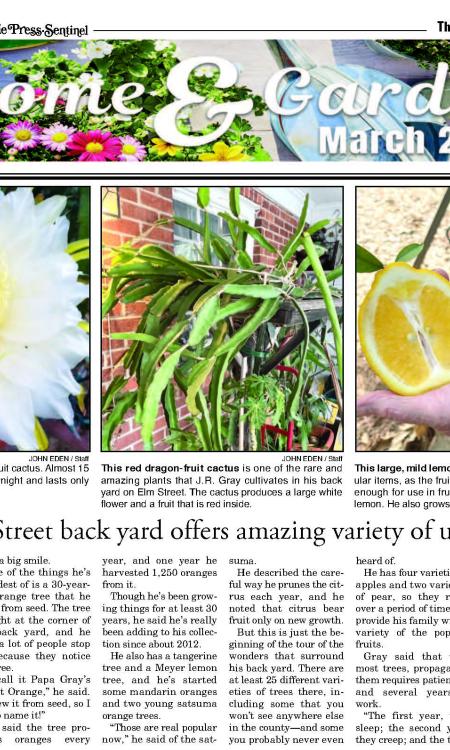Time to spruce up your homes and gardens